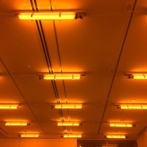 beige fluorescent lamps